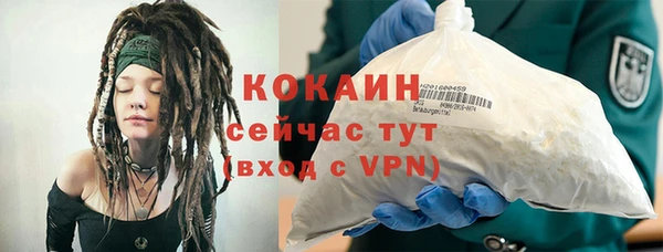 дживик Гусь-Хрустальный