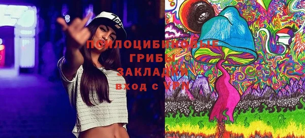молекула духа Гусев