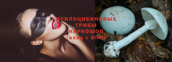 дживик Гусь-Хрустальный