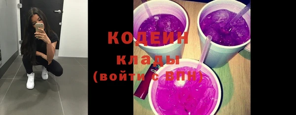 молекула духа Гусев