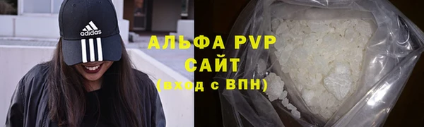 прущие крисы Горняк