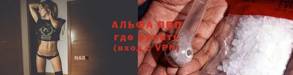молекула духа Гусев
