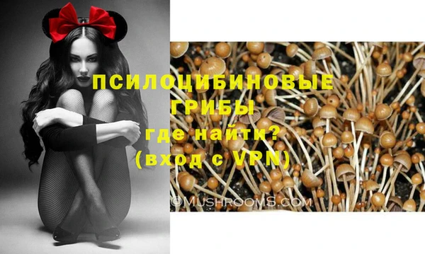 молекула духа Гусев